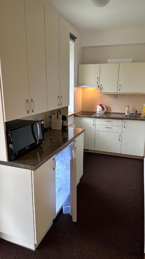 Kovarna Apartment Prasily